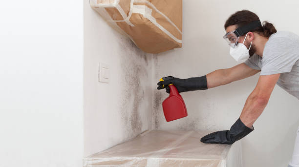 Professional Mold Removal technician working in Brooks, KY